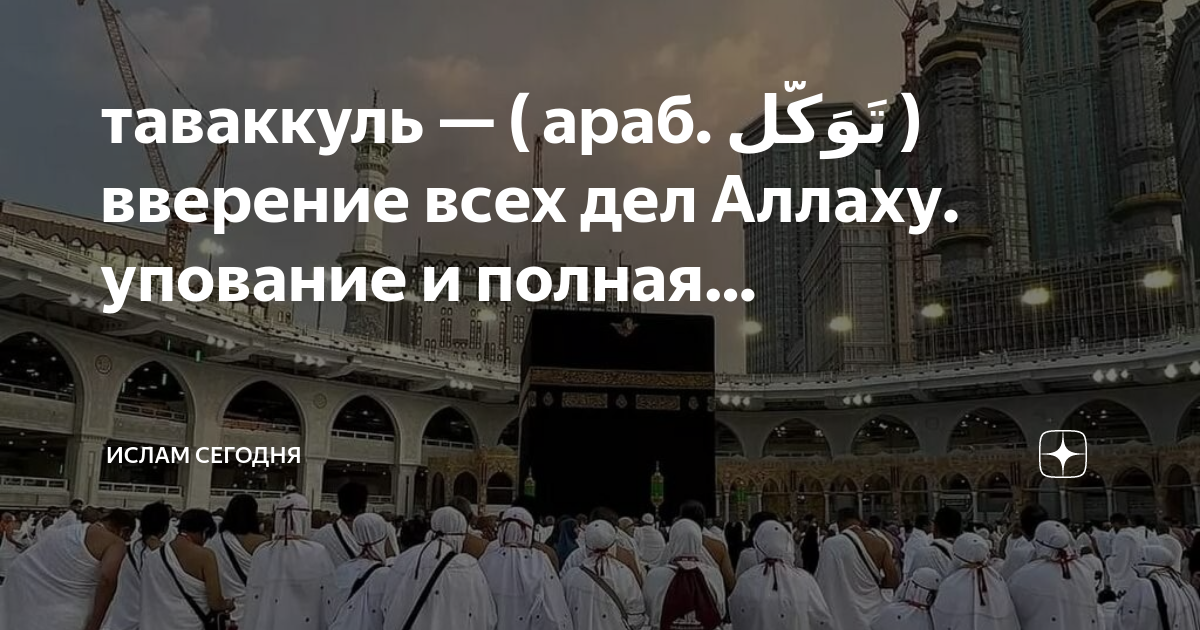 Мусульмане сегодня