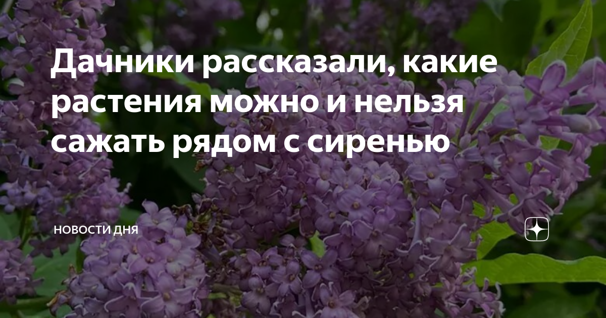 Какие дни в апреле нельзя сажать