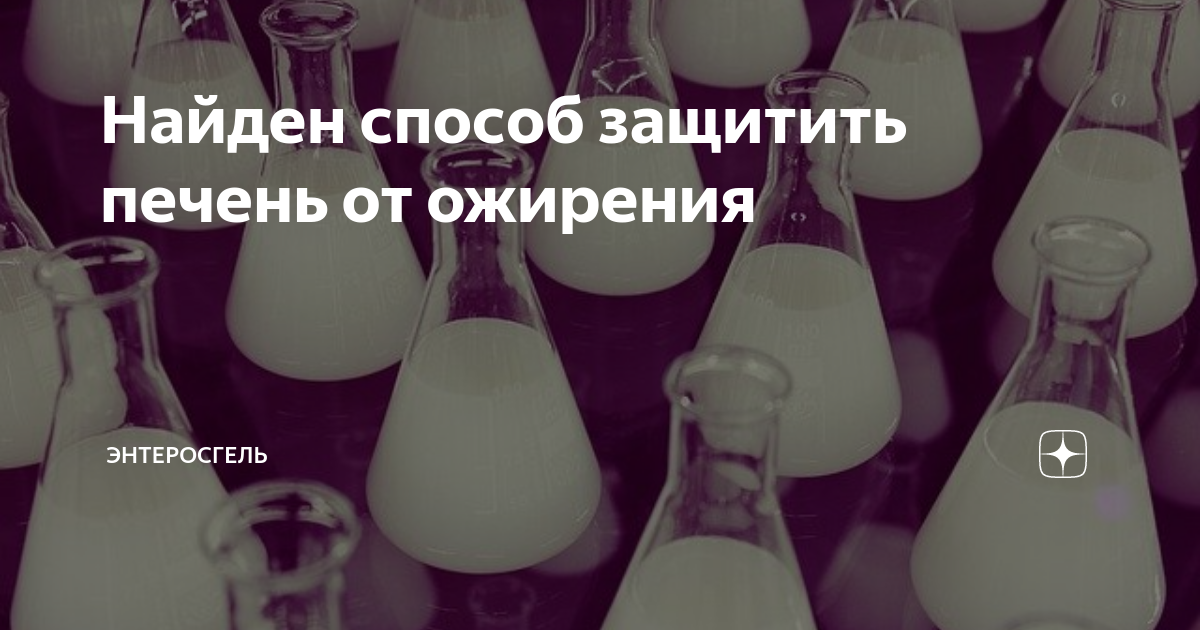 Найден способ защитить печень от ожирения | Энтеросгель | Дзен
