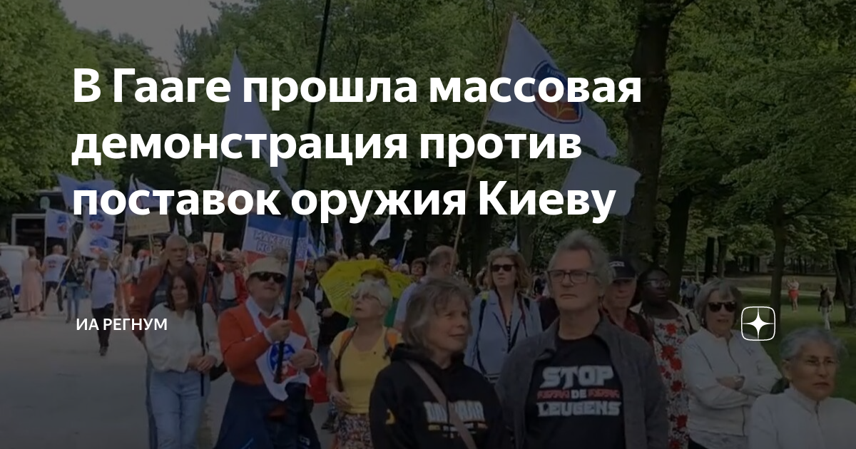 В Гааге прошла массовая демонстрация против поставок оружия Киеву