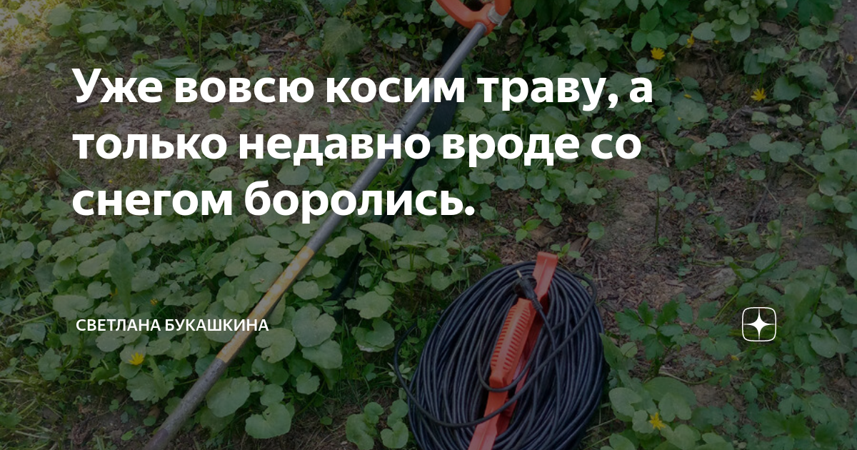 Уже вовсю косим траву, а только недавно вроде со снегом боролись ...