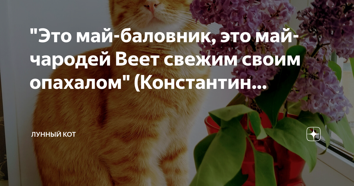 Это май чародей. Этот май чародей этот май баловник. Это май весельчак это май чародей веет свежим своим опахалом. Этот май весельчак. Это март озорник это март чародей веет свежим своим опахалом.