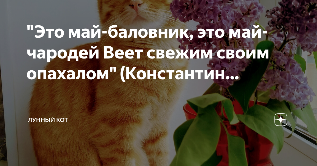 Это май весельчак это май чародей веет свежим своим опахалом картинки