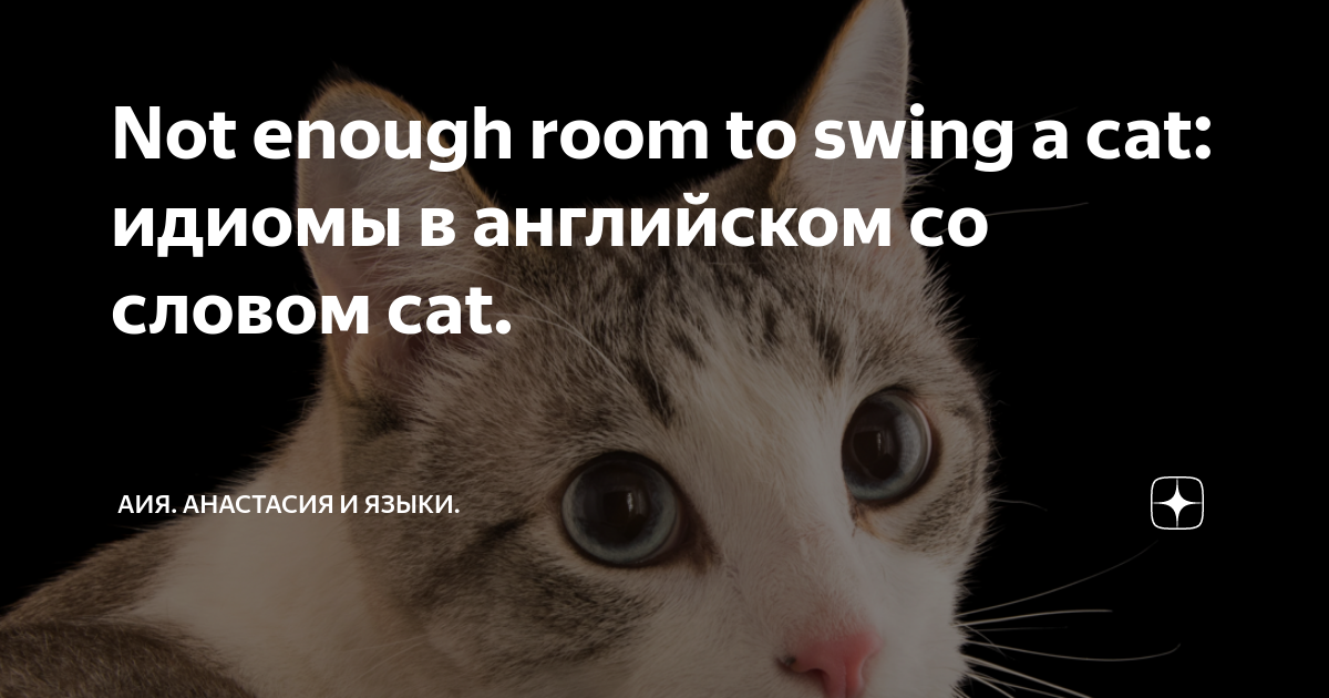 Not enough room to swing a cat идиомы в английском со словом cat