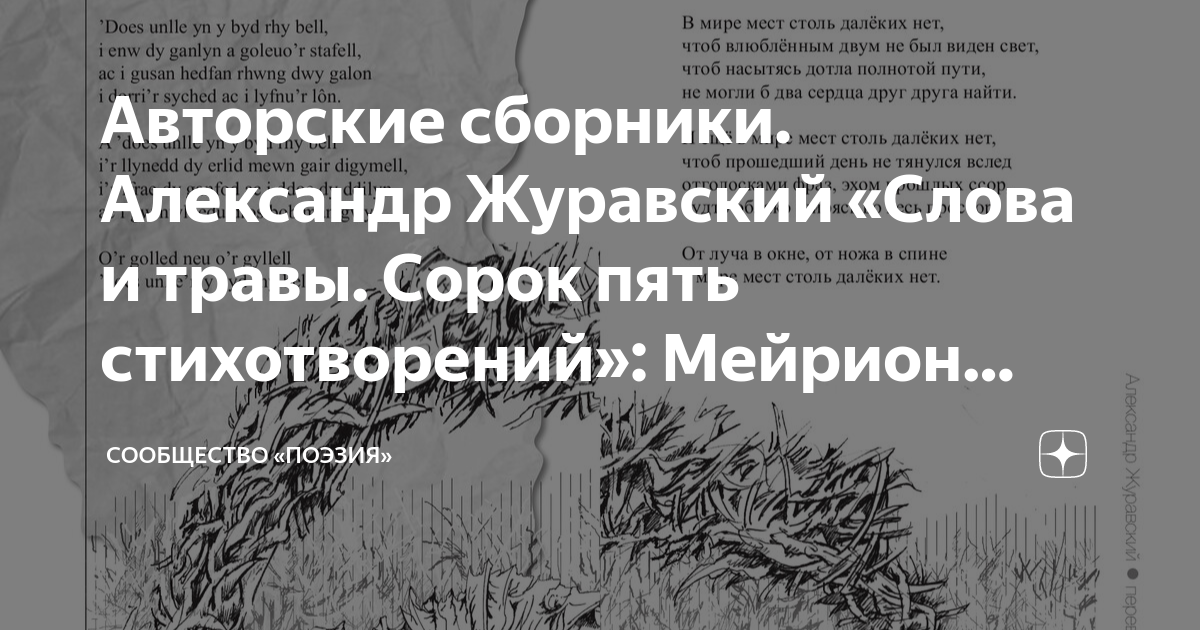 Болутенко сорок пятый стих. Сорок пятый стих.