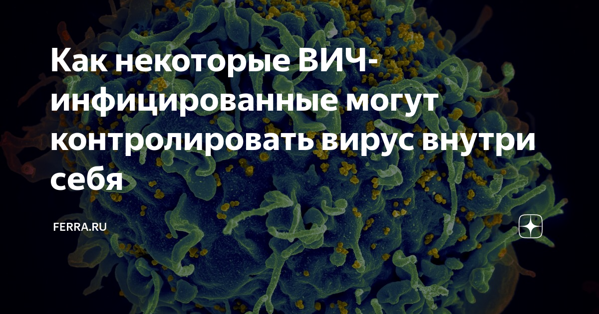 что делать если тебя заразили вич