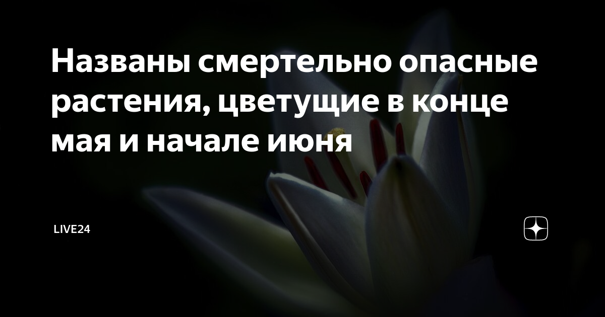 Смертельно опасные цветы описание как они выглядят Растения опасные для человека 5 класс биология найдено 86 картинок