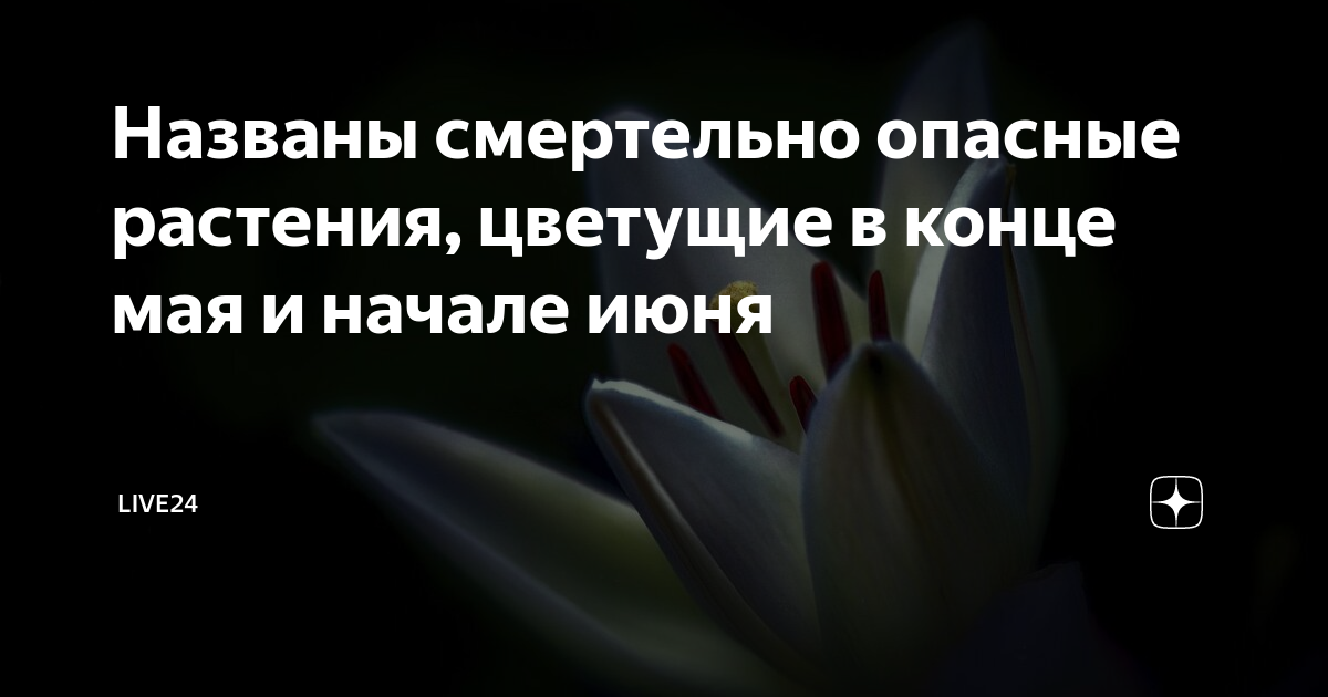 Смертельно опасные цветы проект по биологии 7 класс