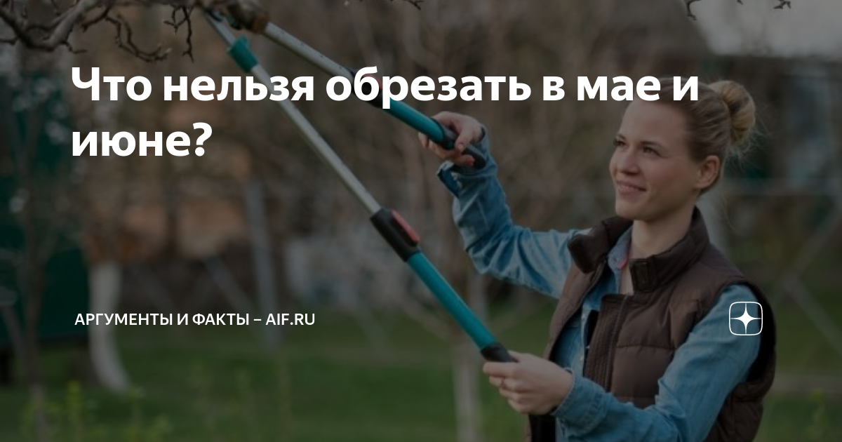 Что нельзя обрезать в мае и июне? | Аргументы и факты – aif.ru | Дзен