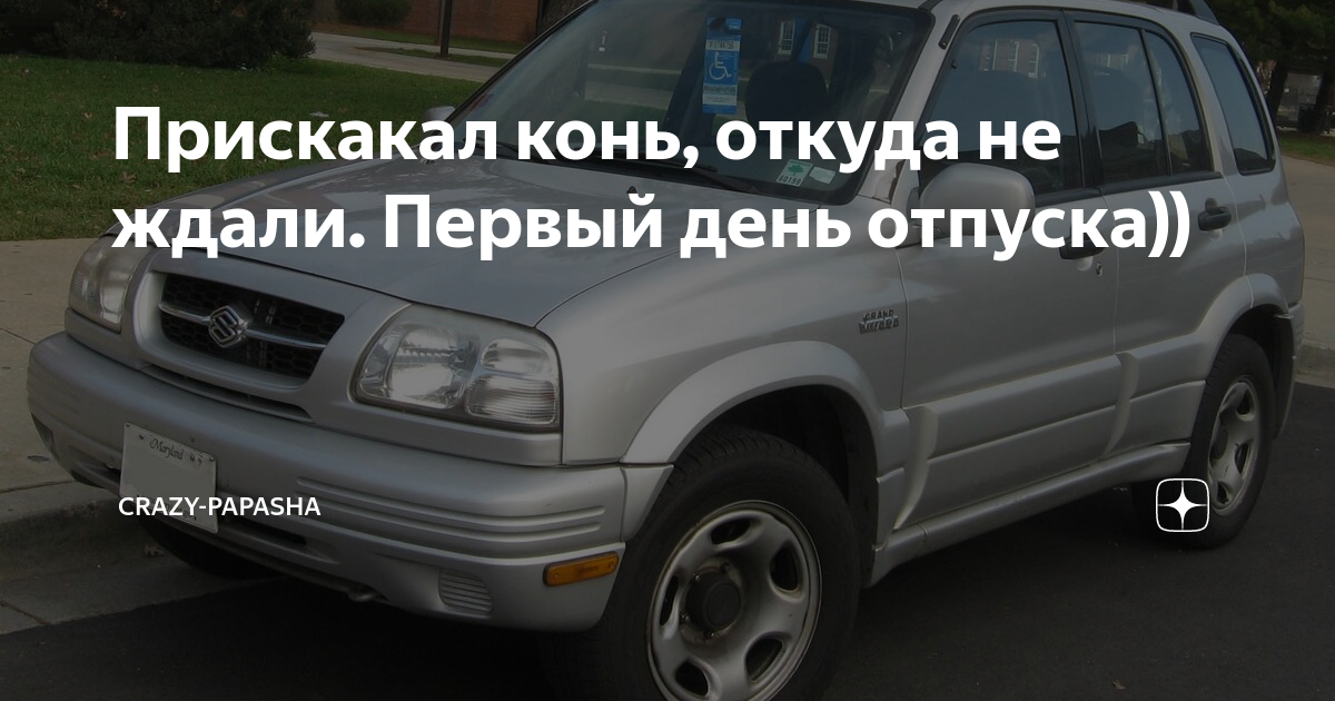Прискакал конь, откуда не ждали. Первый день отпуска)) | Crazy-Papasha ...