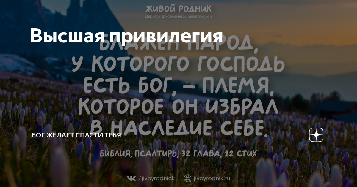 привилегии привилегированного сословия. превилегии или привилегии. привилегия это простыми словами. высшая привилегия. юридическое бюро "селиванов".
