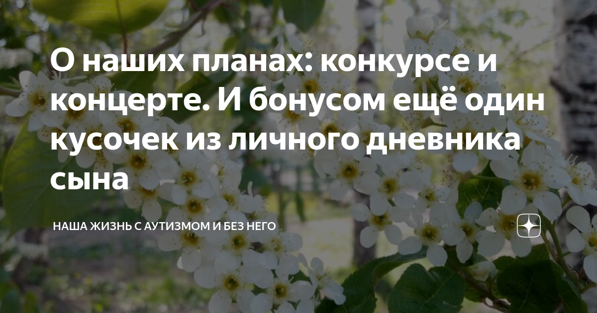 О наших планах: конкурсе и концерте. И бонусом ещё один кусочек из ...