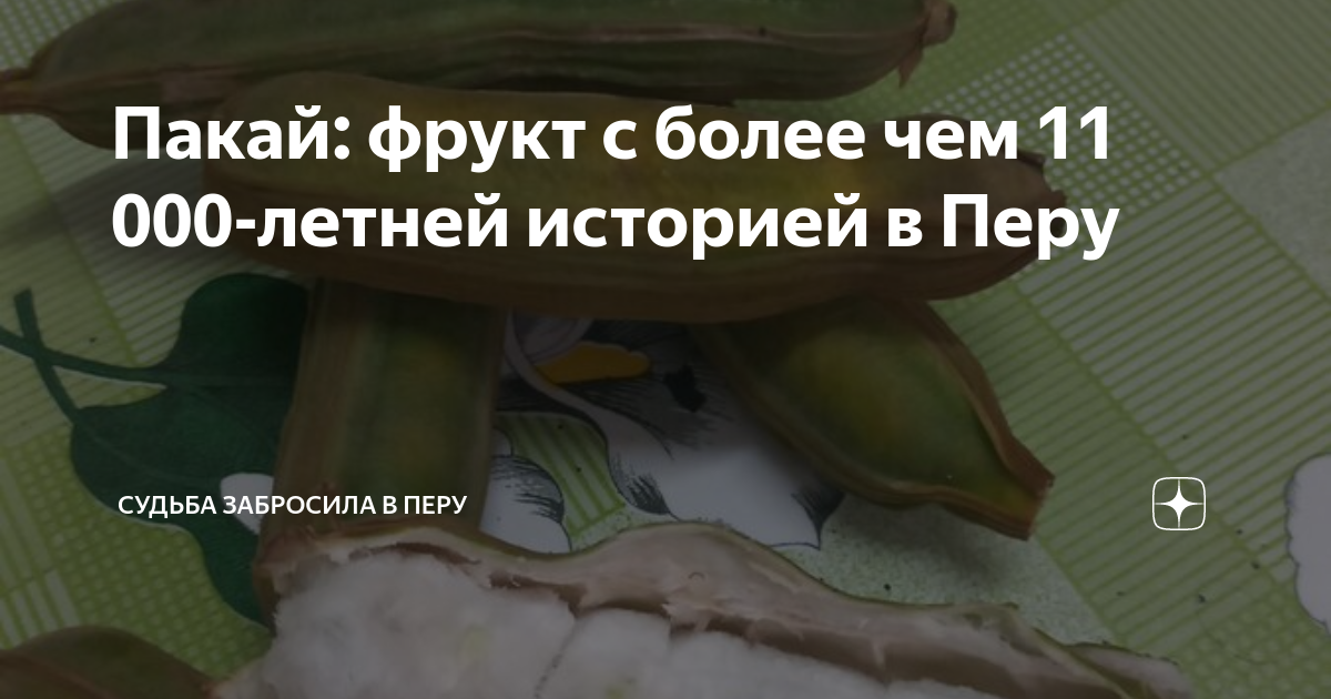 Пакай: фрукт с более чем 11 000-летней историей в Перу | Окно в Перу | Дзен