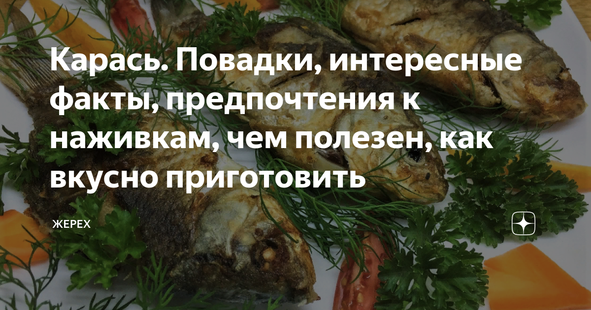 Ты пирог съел нет не я а вкусный был очень что это такое