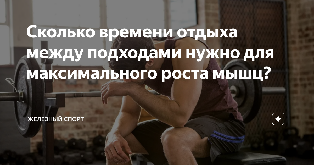 когда лучше ходить в спорт зал утром или вечером