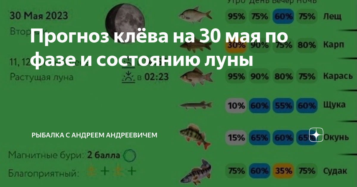 Прогноз клева ставропольский. Прогноз клёва рыбы. Луна и клев рыбы. Прогноз клёва рыбы 2023. График клёва рыбы на каждый день.