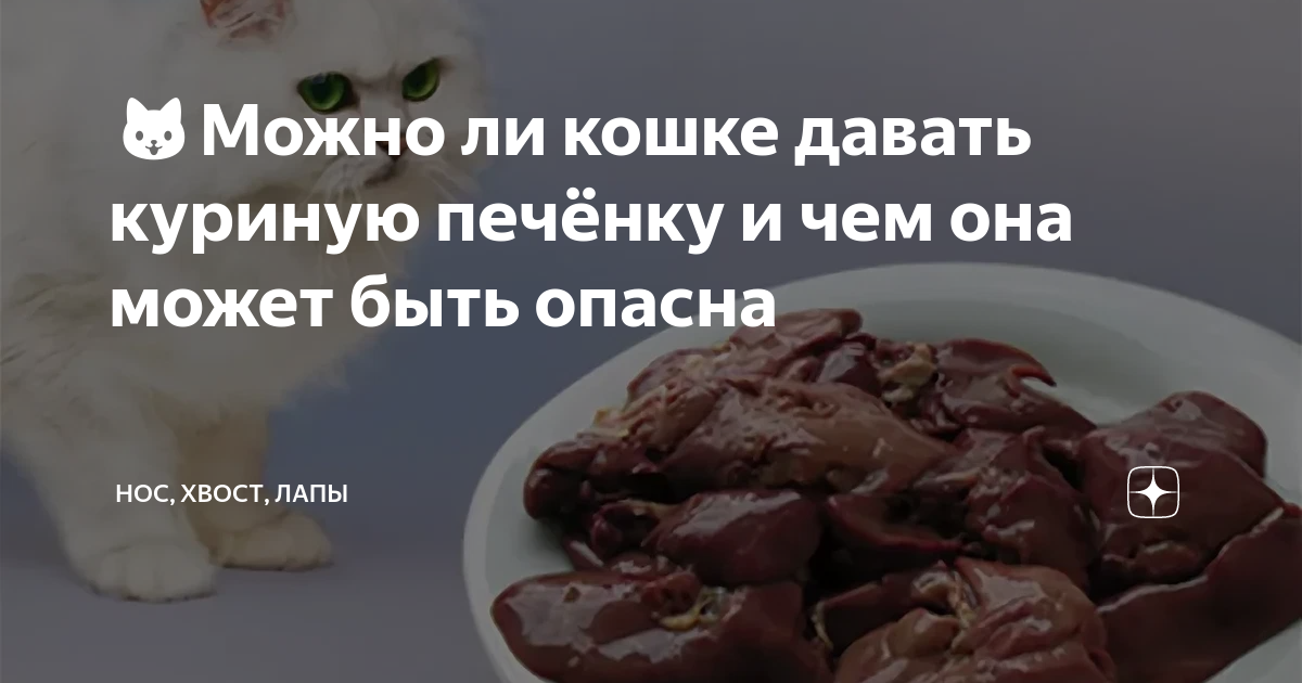 Можно ли давать кошке куриную печень. Можно ли давать кошке печень куриную.