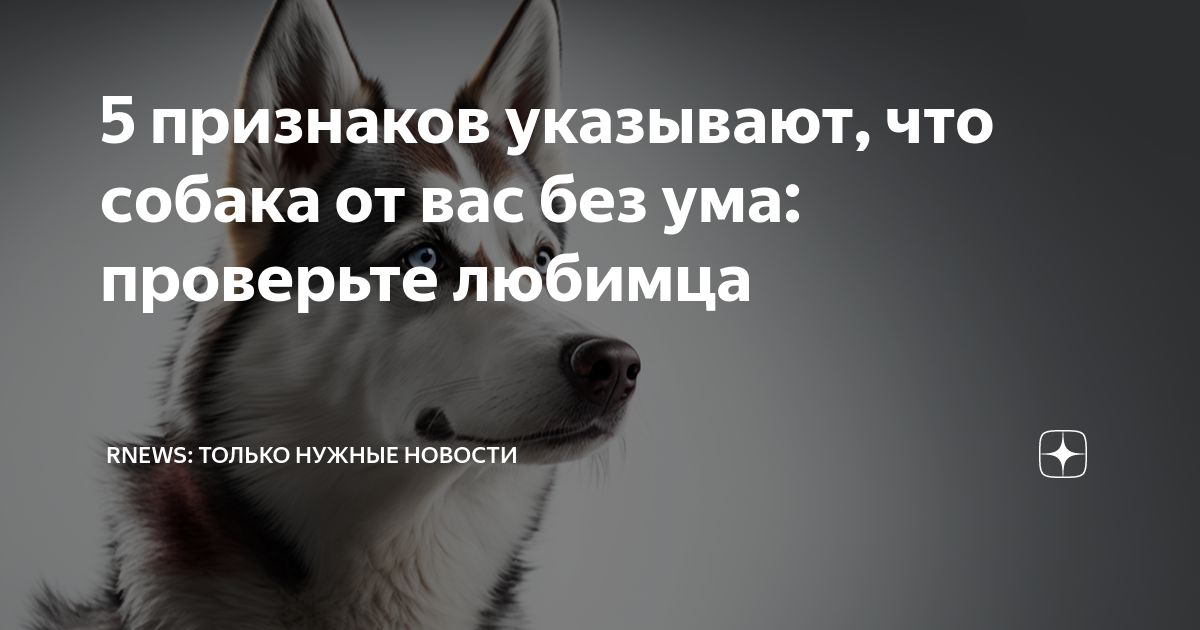 Причина зелёной шерсти у собак