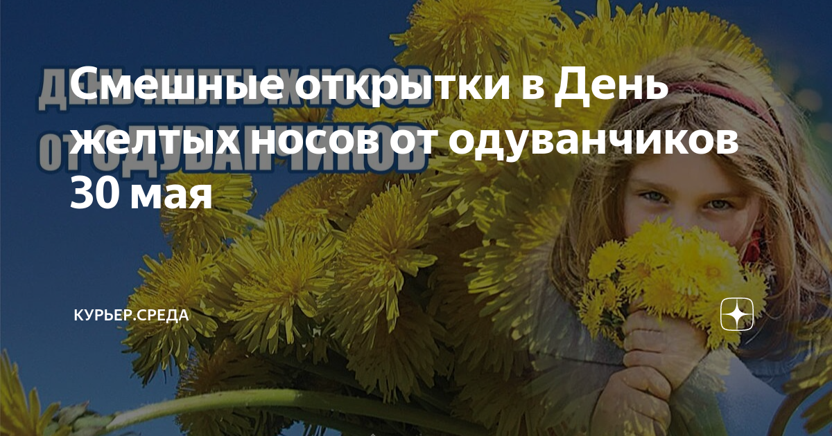 День желтых от одуванчиков носов 30 мая картинки