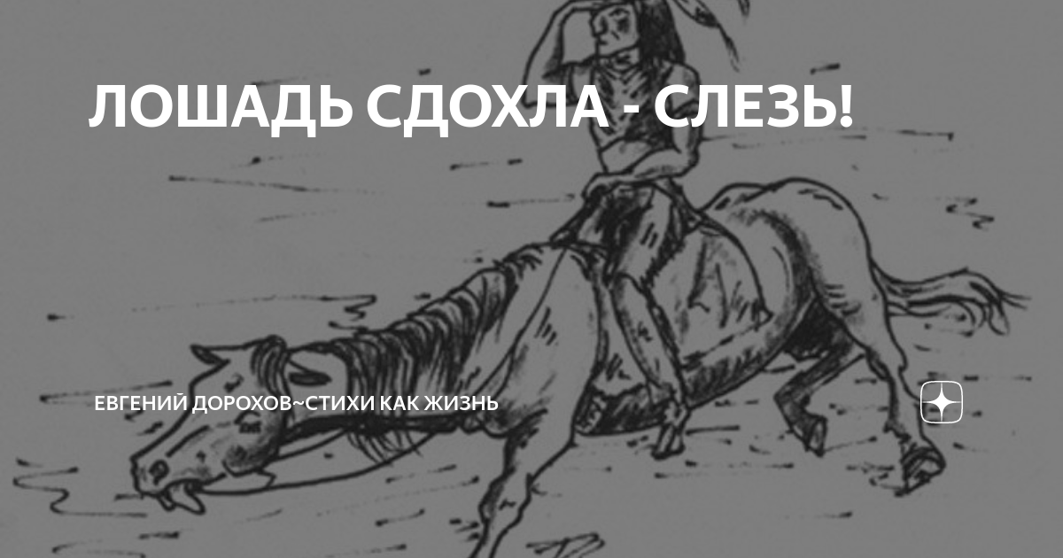 От работы дохнут лошади в плугу. Стих про дохлую лошадь. поговорка лошадь сдохла-слезь. дохлая лошадь картинки. нарисовать коня дохнет от работы.