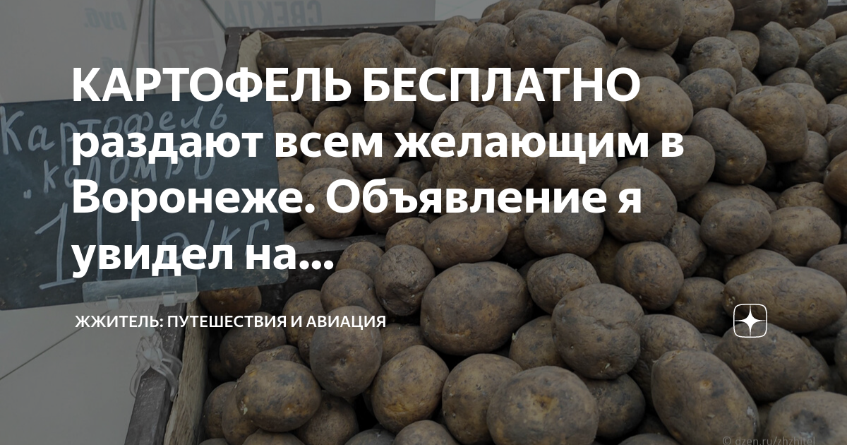 КАРТОФЕЛЬ БЕСПЛАТНО раздают всем желающим в Воронеже. Объявление я ...