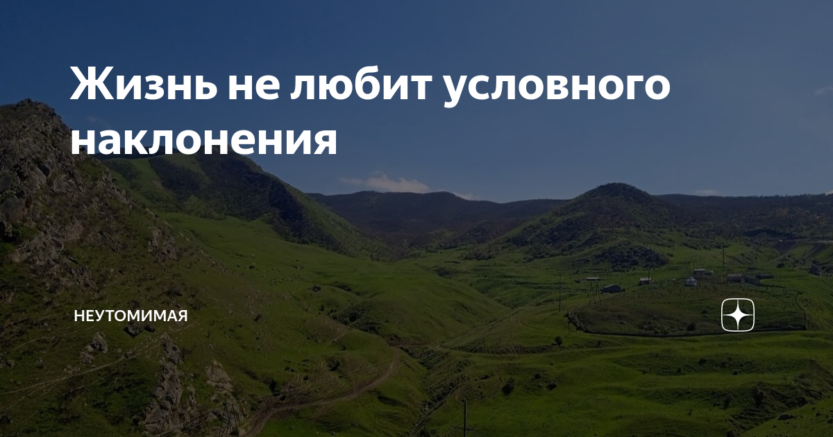 Неутомимая дзен читать