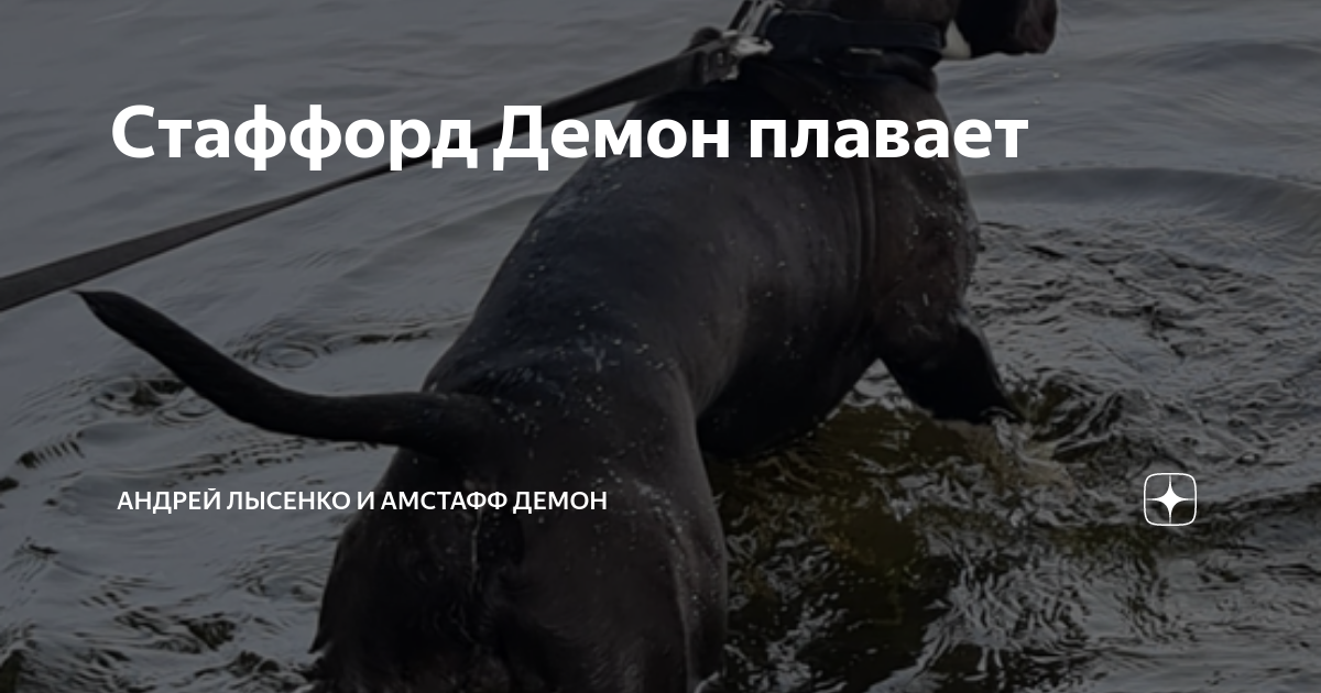 Не ходи отдохни