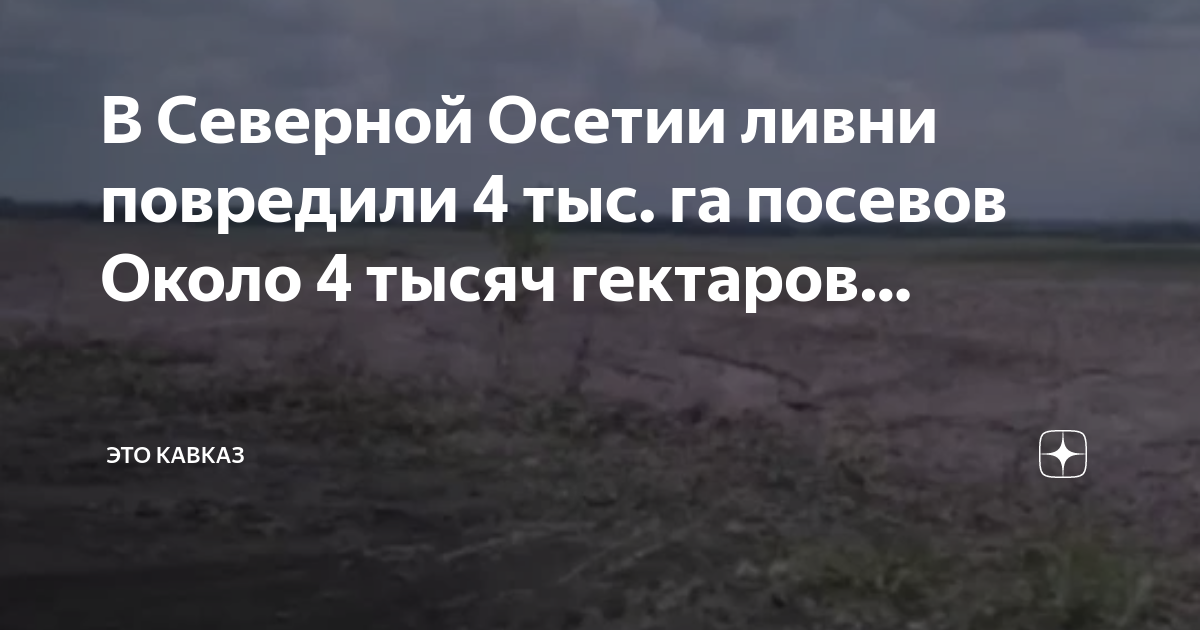 Проект северный гектар