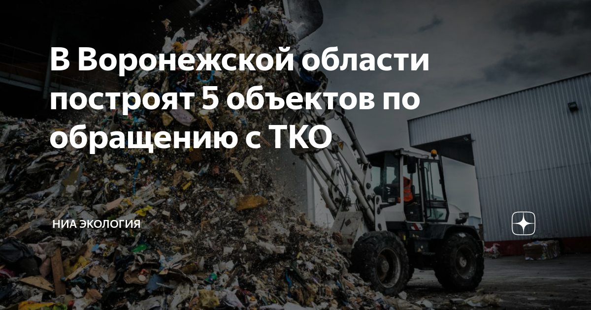 Проект экология воронежа