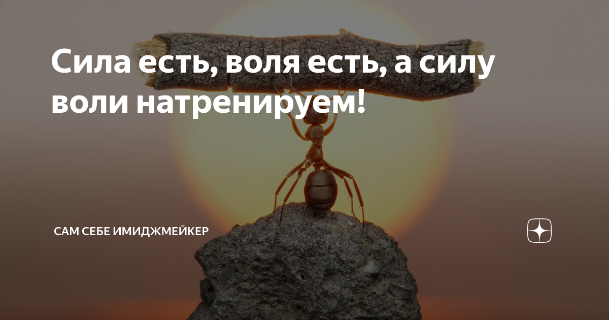 упорство и настойчивость в достижении цели. упорство высказывания. успех и упорство. упорство в достижении цели. упорство высказывания.