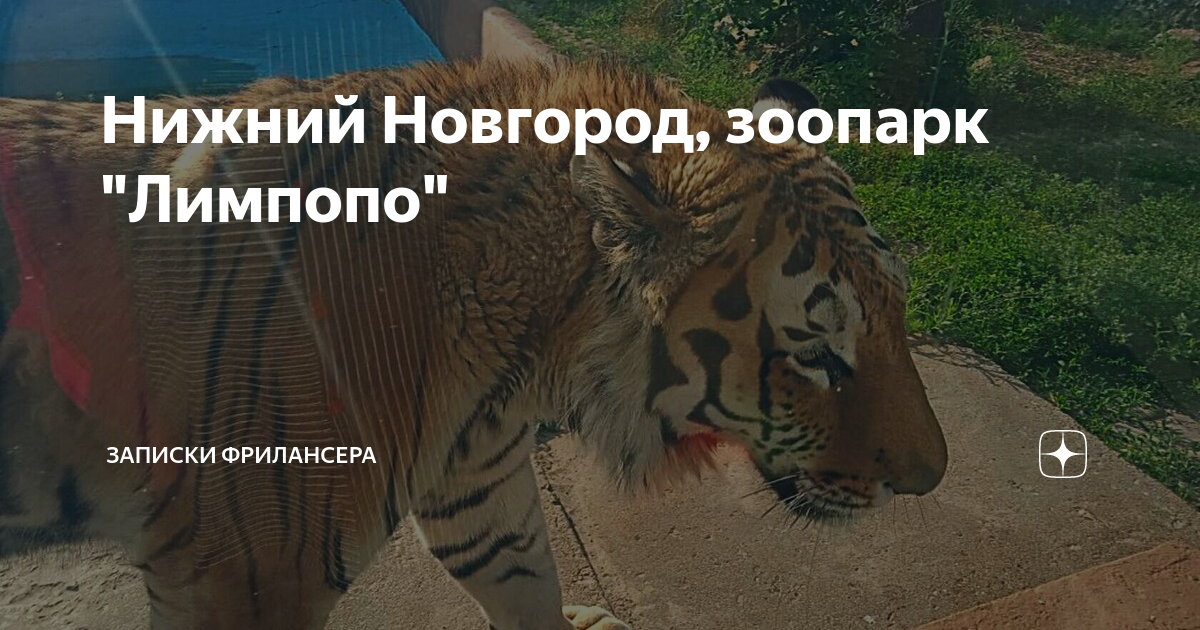 Зоопарк лимпопо схема