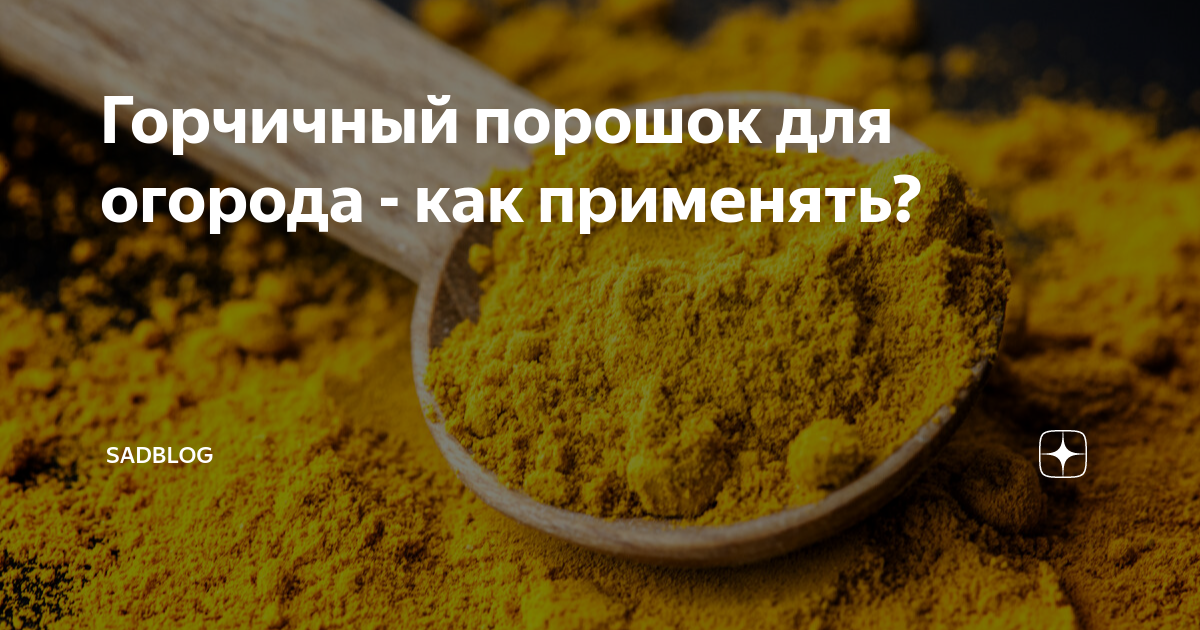 Горчичный порошок для огорода - как применять? | SadBlog | Дзен