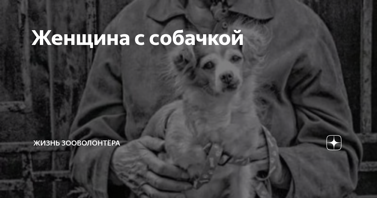 Женщина с собачкой | Жизнь зооволонтёра | Дзен