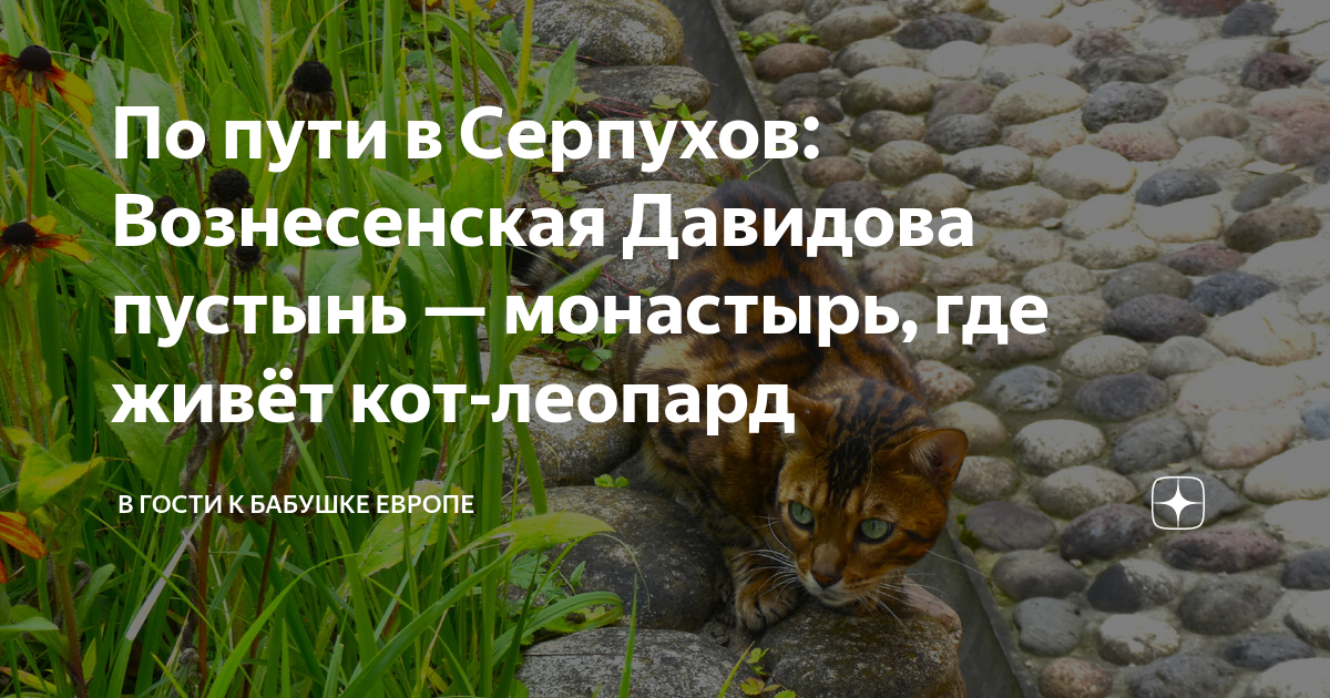 По пути в Серпухов: Вознесенская Давидова пустынь — монастырь, где ...