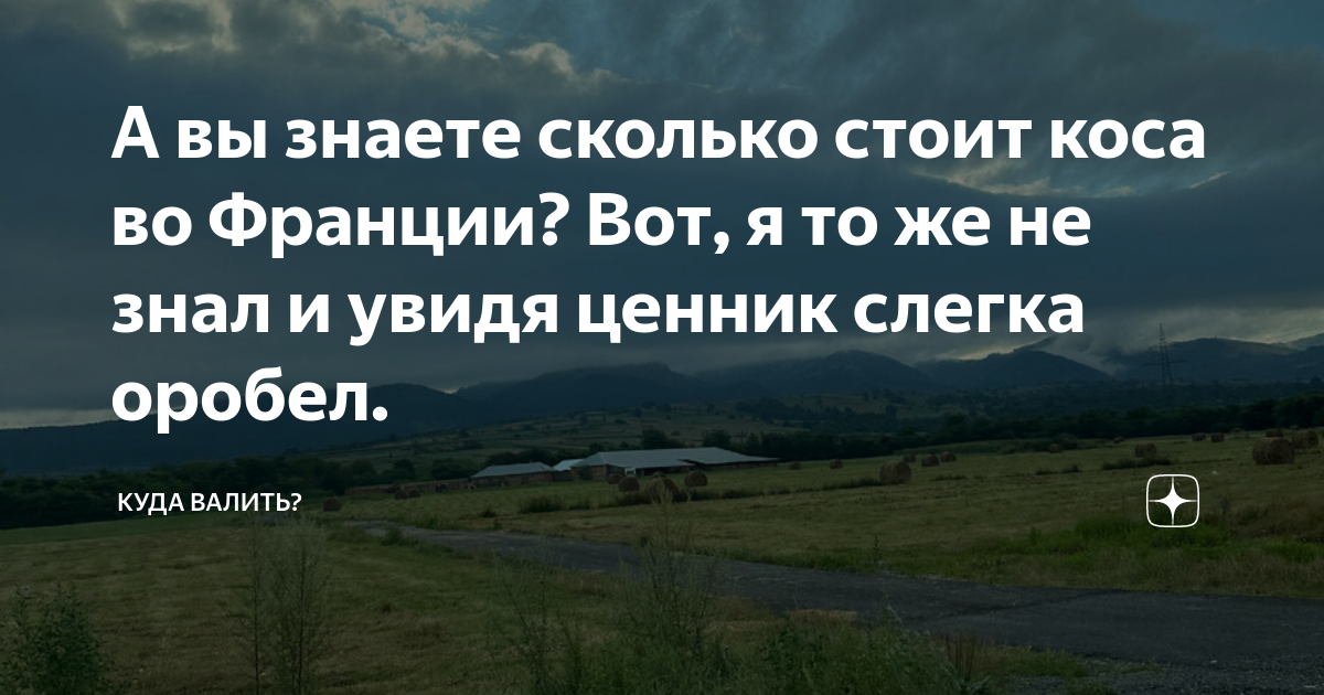 А вы знаете сколько стоит коса во Франции? Вот, я то же не знал и увидя ...