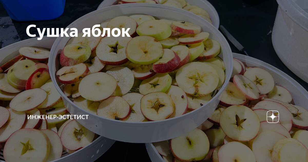 Сушить яблоки в сушилке для фруктов. Сушим яблоки в электросушилке ветерок. Яблоки сушеные кольца. Сушить яблоки в сушилке. Сушить яблоки в сушилке для фруктов.