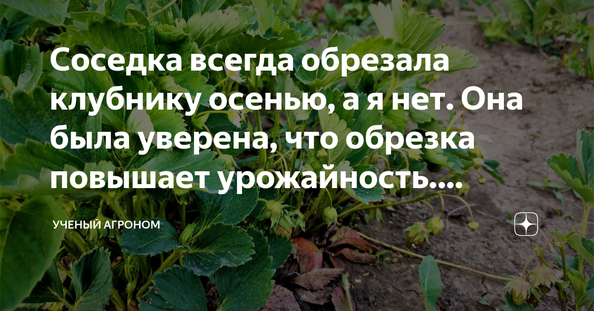 Элиша катберт соседка. Элиша катберт соседка 2. Соседка всегда даст. Соседка всегда даст. Соседка всегда даст.