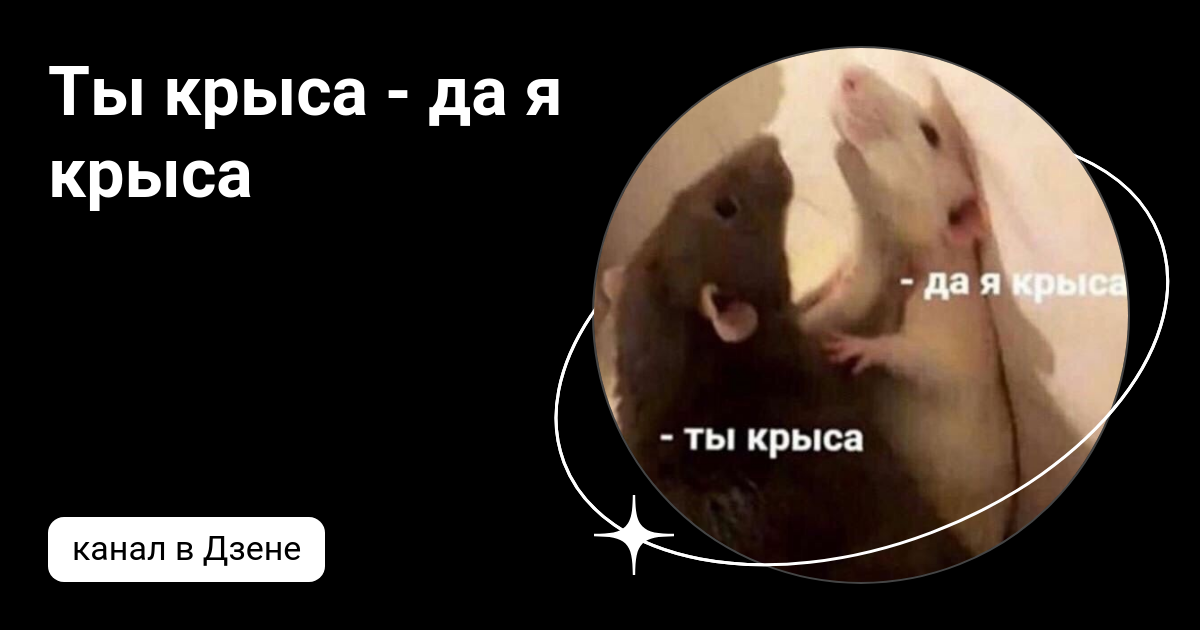 Ты краса да я крыса. Ты крыса. Я крыса. Ты крыса да крыса. Ты крсыа да я крсыа.