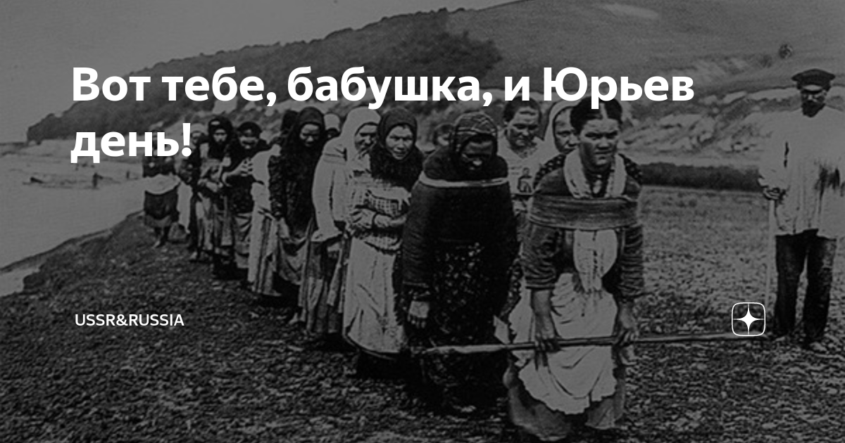 Вот тебе и юрьев день. Вот вам батенька и Юрьев день. Вот тебе бабушка и Юрьев день картинки. Вот тебе бабушка и Юрьев день прикол. Поговорка вот тебе бабушка и Юрьев день картина