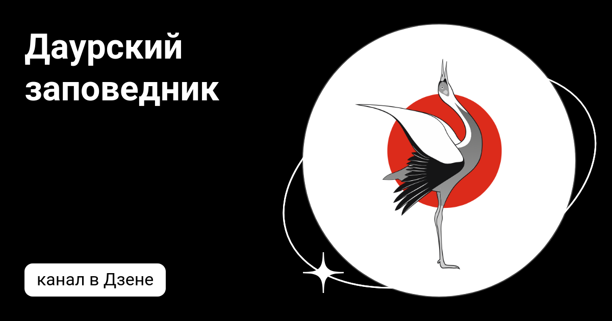 Даурский заповедник | Дзен