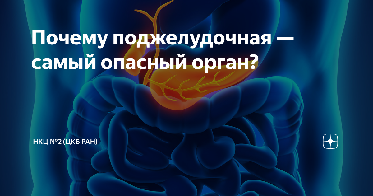 Нкц no 2 цкб ран отзывы. Селезенка человека. Болезненность селезенки.