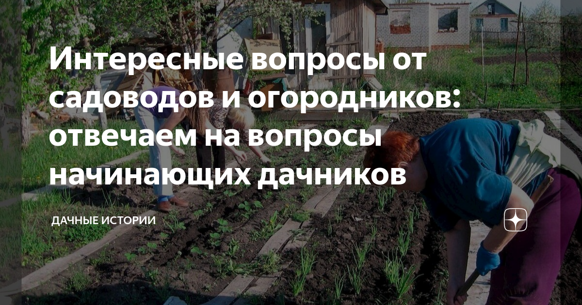 Интересные вопросы от садоводов и огородников: отвечаем на вопросы ...