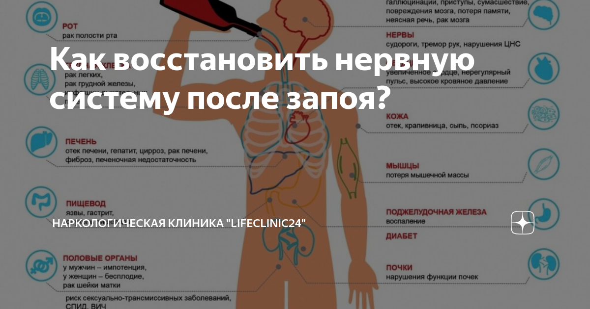 Восстановить после запоя. Восстановление организма. Как восстановиться после запоя. Как восстановить организм после запоя.