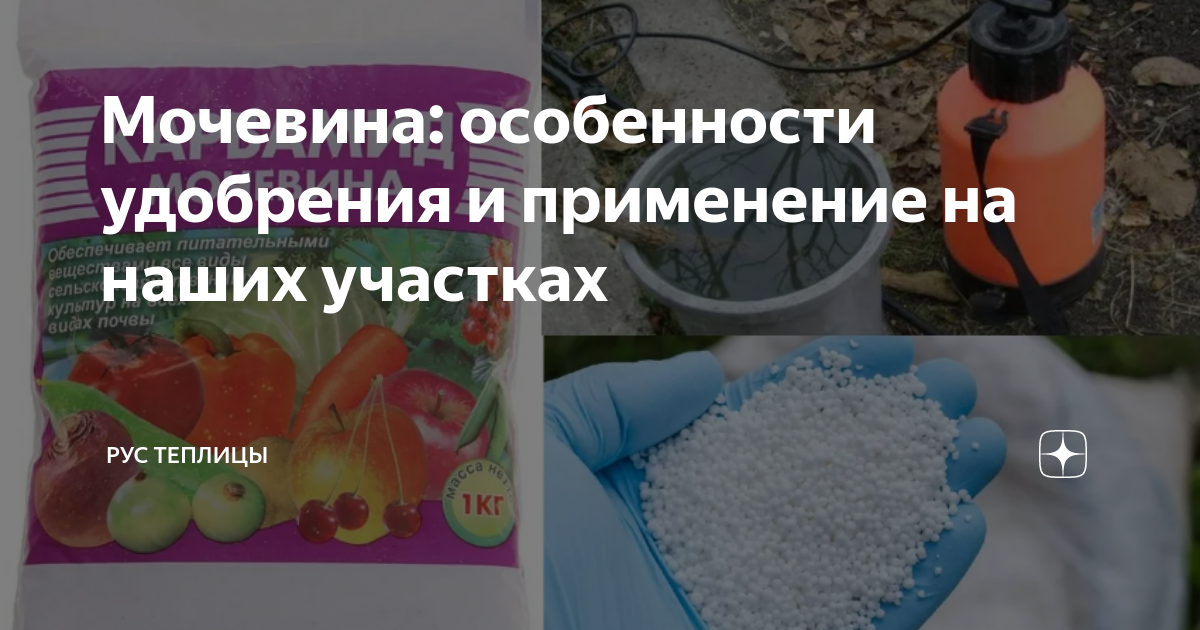 Мочевина: особенности удобрения и применение на наших участках | Рус ...