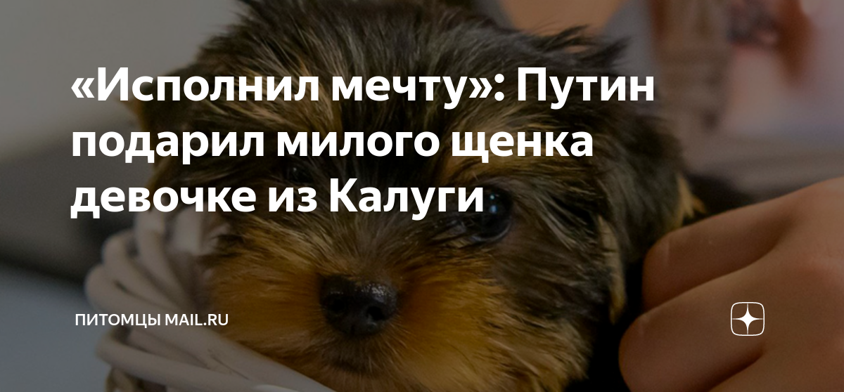 подари милашка злой. высказывания про подарки женщинам. валентинов день люди. наборы мыла ручной работы. мем про лешу алексея лексус.