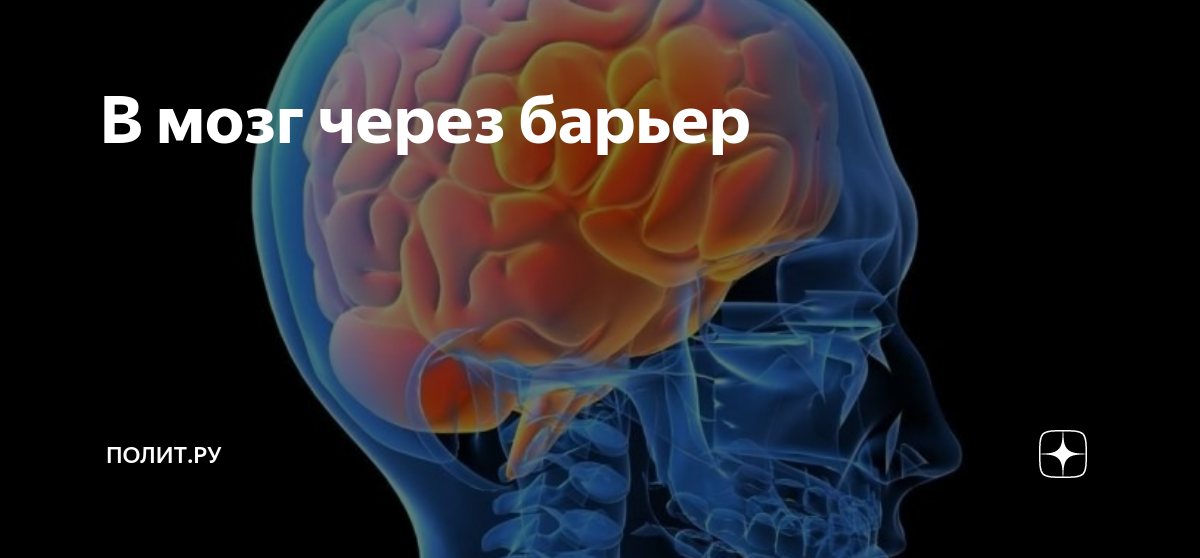 Все проходит через мозг. Болезнь маленького мозга. Мозг с препятствиями. Луч сквозь мозг.