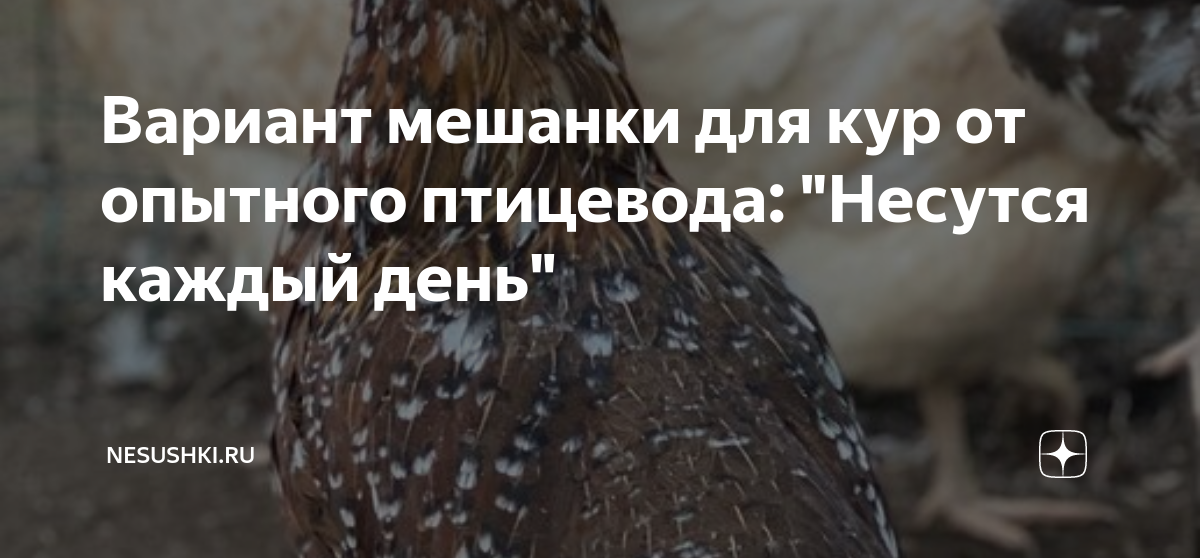 Вариант мешанки для кур от опытного птицевода: "Несутся каждый день ...