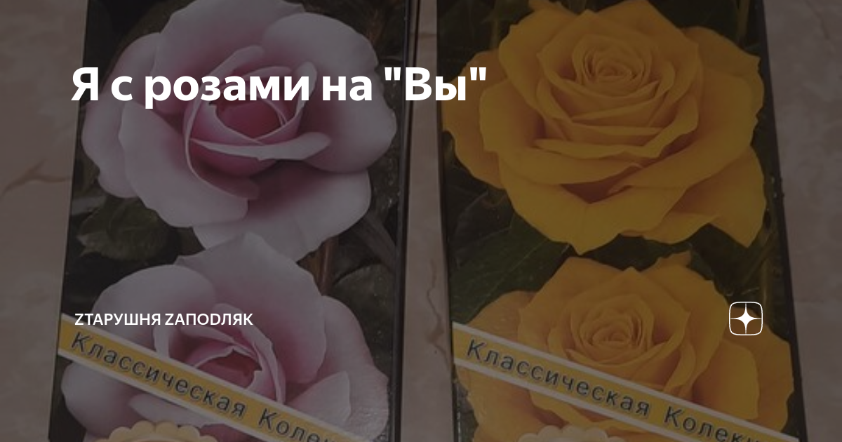 Тень на стене. Zтарушня zапоdляк последняя глава. Zтарушня zапоdляк последняя глава. Zтарушня zапоdляк последняя глава. Zтарушня zапоdляк последняя глава.