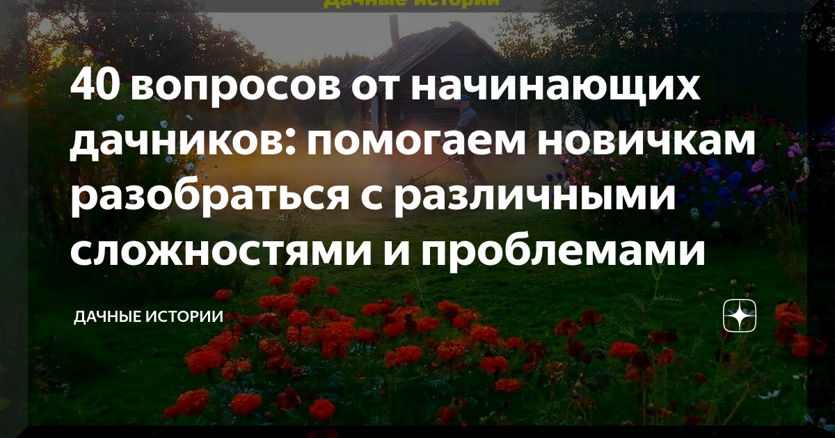 40 вопросов от начинающих дачников: помогаем новичкам разобраться с ...