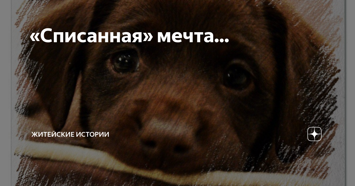 «Списанная» мечта... | Житейские истории | Дзен